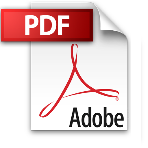 Descargar Libro electrónico en PDF